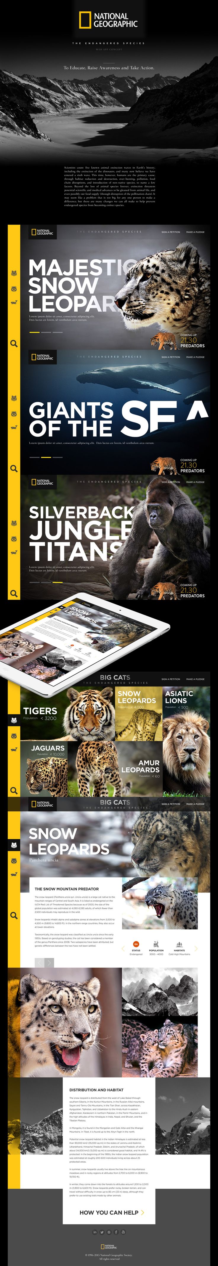 National Geographic - The Endangered Species by Daniel Ng
